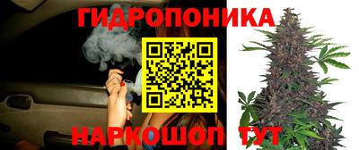 a pvp Янаул